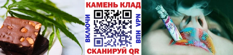Canna-Cookies марихуана  Сланцы 