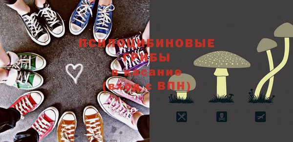 мескалин Арсеньев