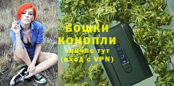 ешки Аркадак
