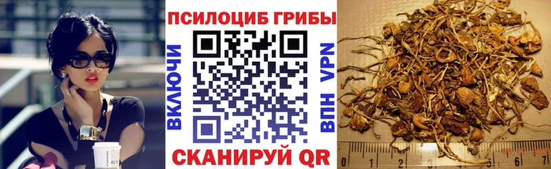 KRAKEN ТОР  Сланцы  Галлюциногенные грибы ЛСД 